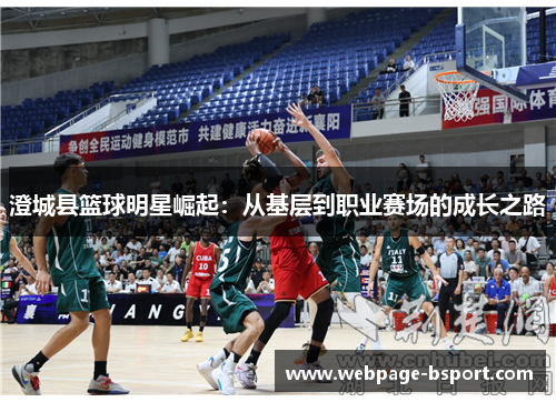 澄城县篮球明星崛起：从基层到职业赛场的成长之路