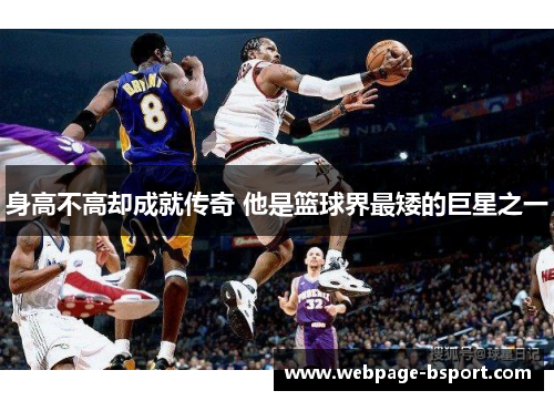 身高不高却成就传奇 他是篮球界最矮的巨星之一